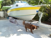 Donzi boat bottom paint