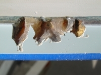 Toe rail cracks Boston Whaler