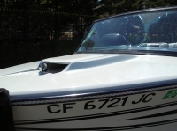 Ski Boat Detailing/Polish